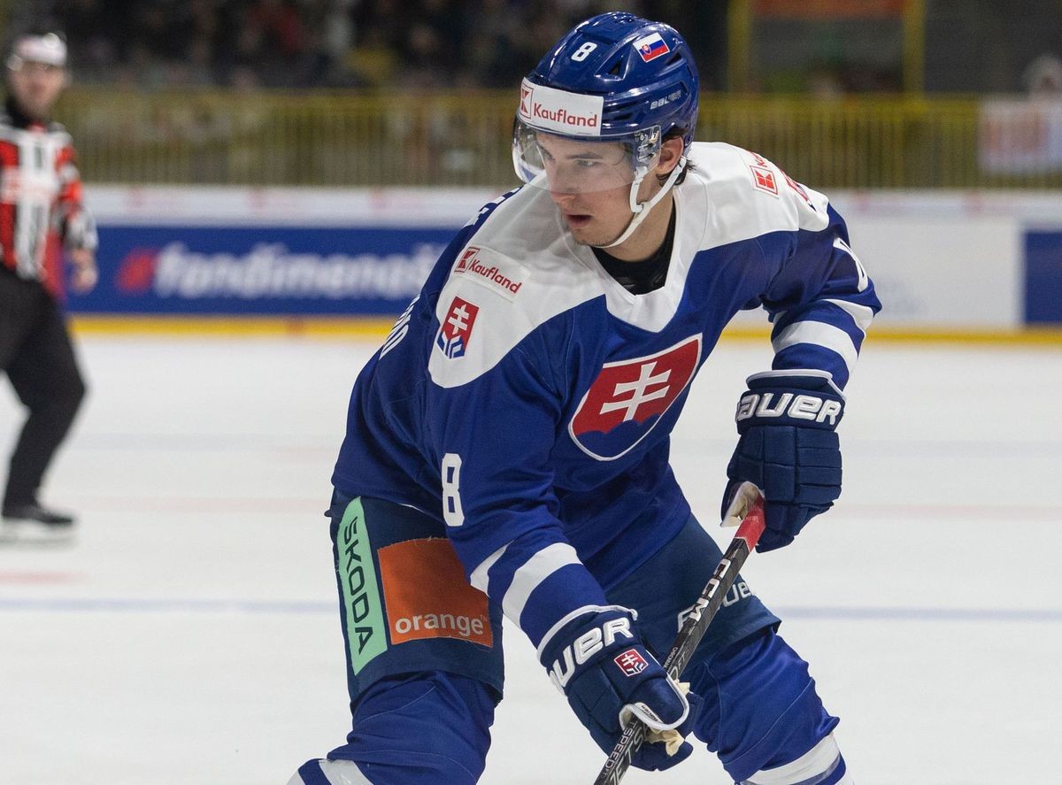 Hokejová reprezentácia